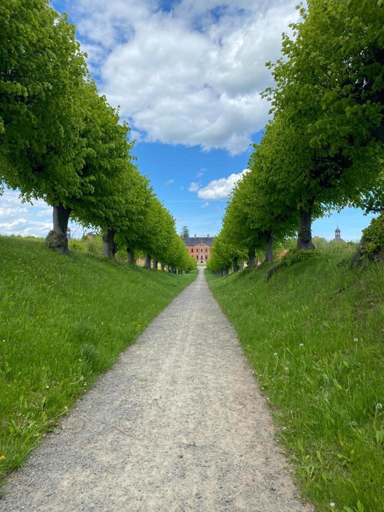 Ferienwohnung Uta Grundshagen ภายนอก รูปภาพ